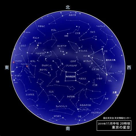 11月28日 星座|11月28日出生是什么星座